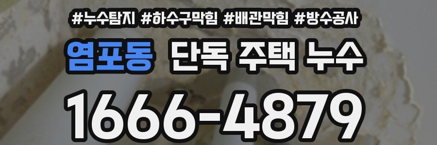 염포동 단독 주택 누수