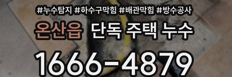 온산읍 단독 주택 누수