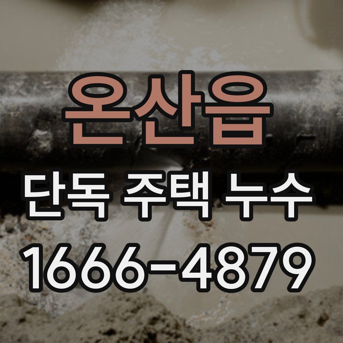 온산읍 단독 주택 누수