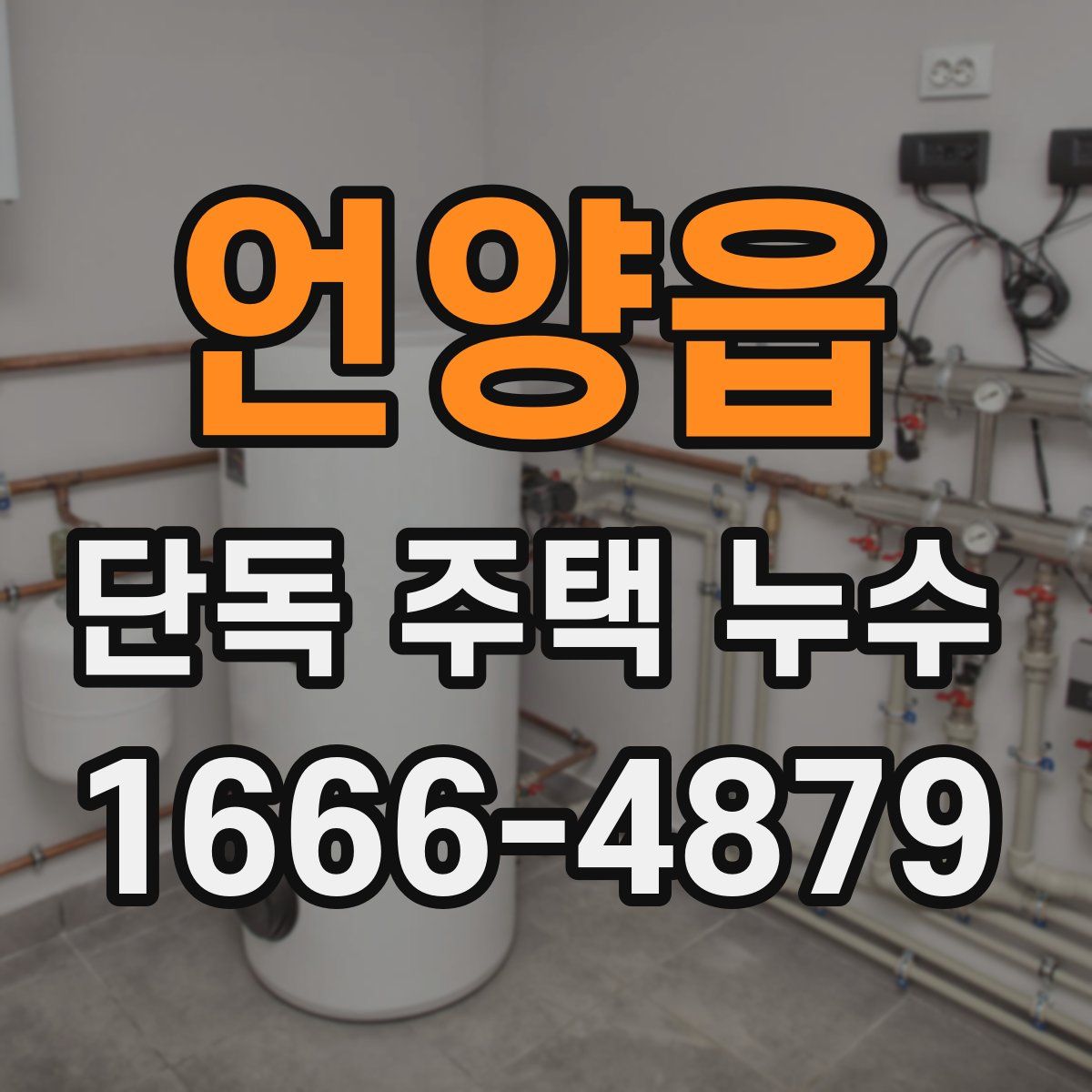 언양읍 단독 주택 누수