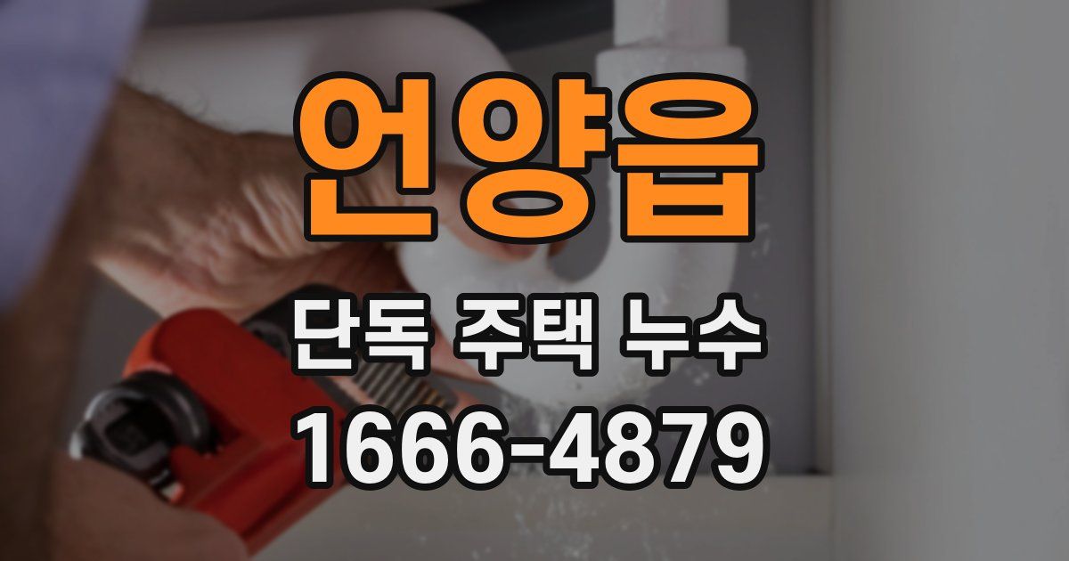 언양읍 단독 주택 누수