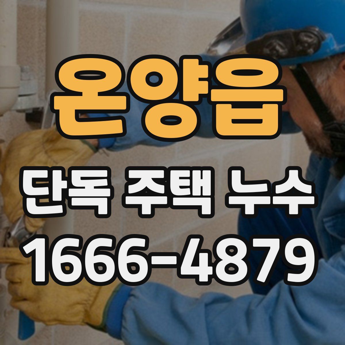 온양읍 단독 주택 누수