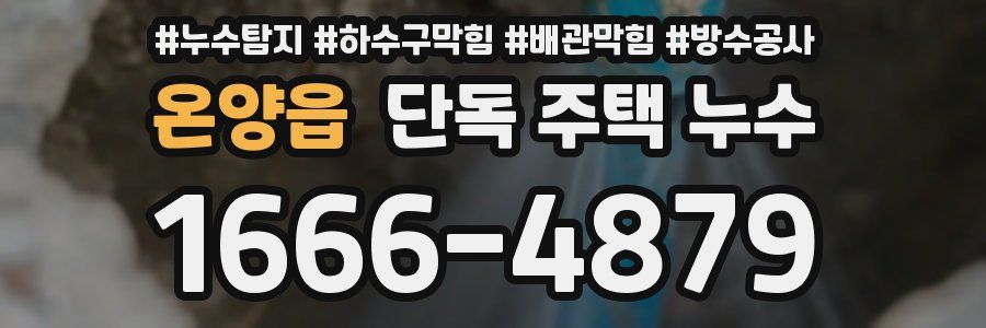 온양읍 단독 주택 누수