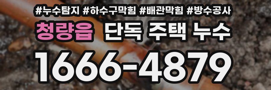 청량읍 단독 주택 누수
