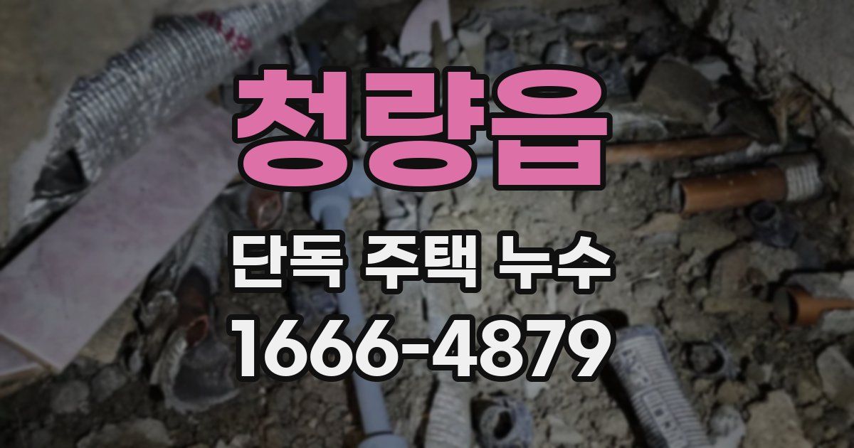 청량읍 단독 주택 누수
