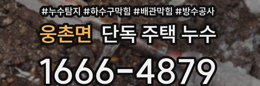 웅촌면 단독 주택 누수