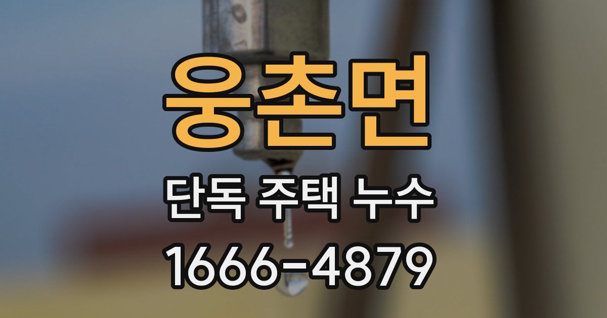 웅촌면 단독 주택 누수