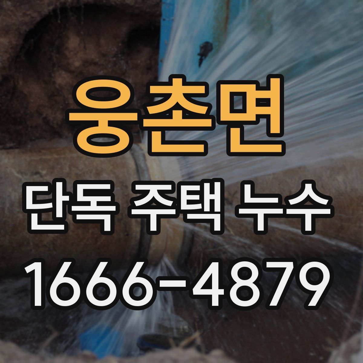 웅촌면 단독 주택 누수