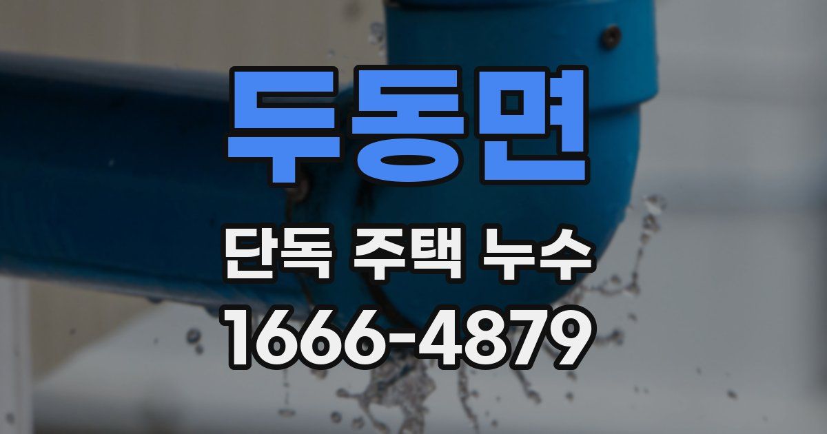 두동면 단독 주택 누수