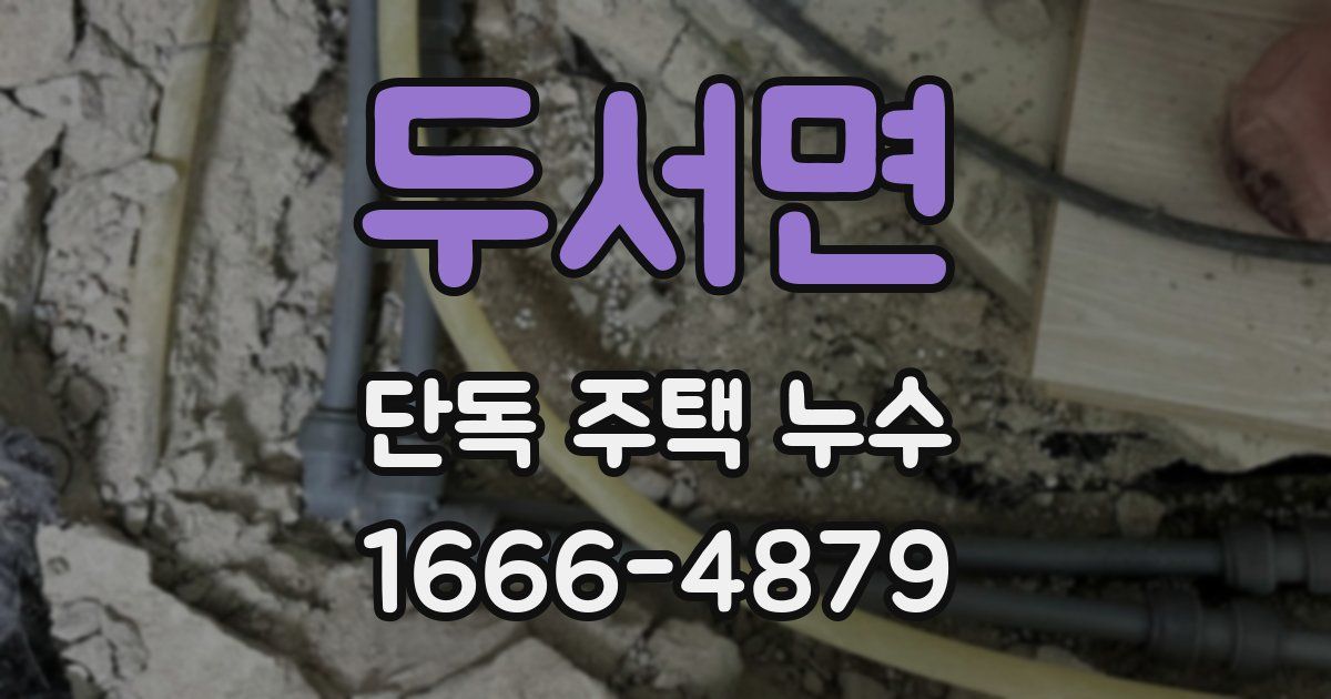 두서면 단독 주택 누수