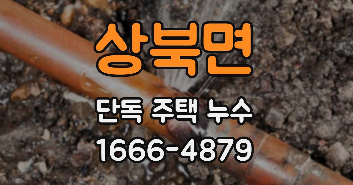 상북면 단독 주택 누수