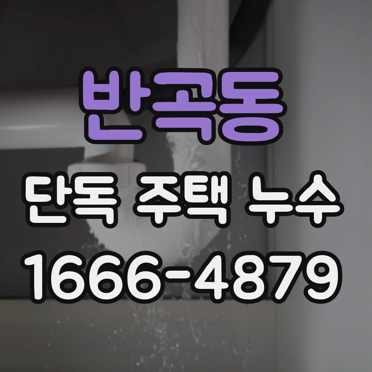 반곡동 단독 주택 누수