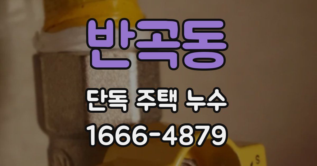 반곡동 단독 주택 누수