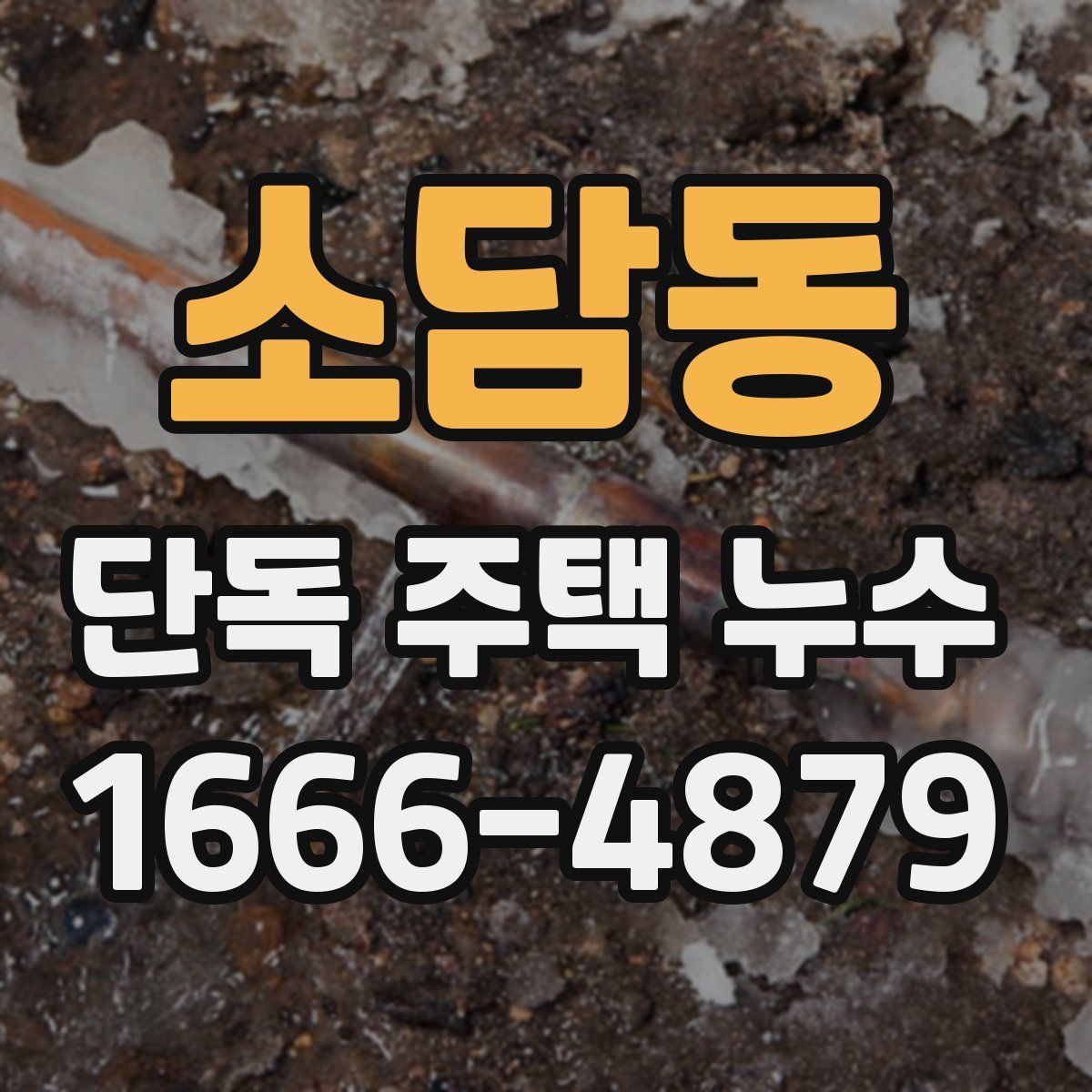 소담동 단독 주택 누수