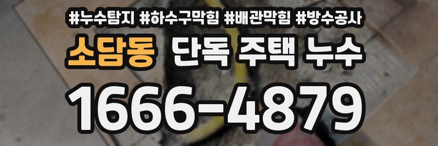 소담동 단독 주택 누수