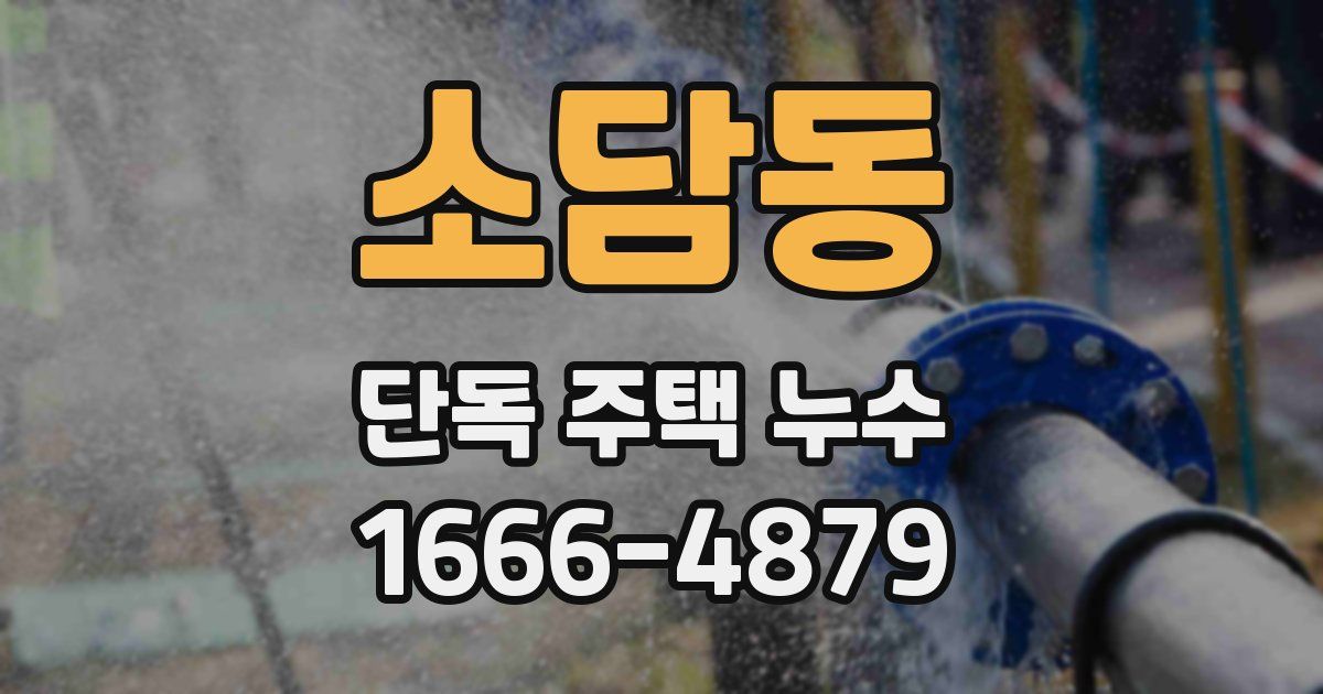 소담동 단독 주택 누수