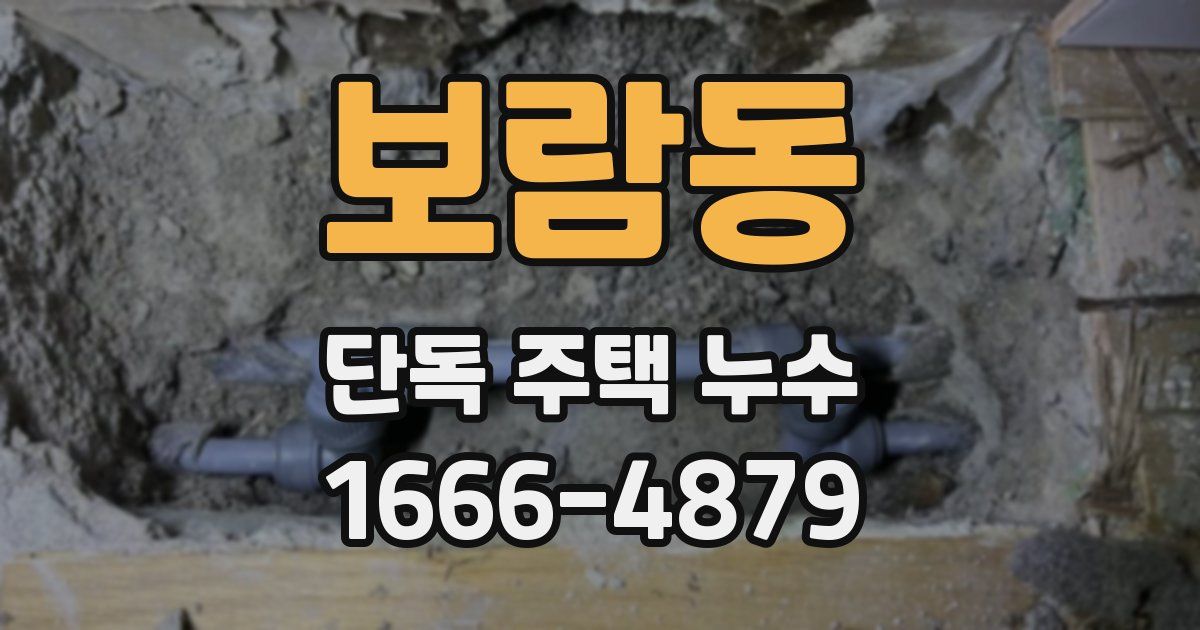 보람동 단독 주택 누수