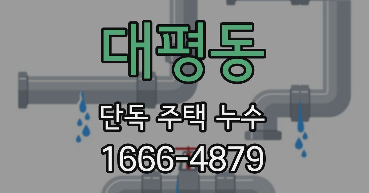 대평동 단독 주택 누수