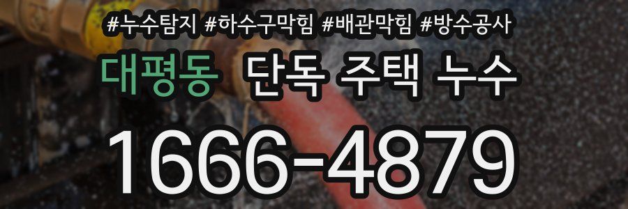 대평동 단독 주택 누수