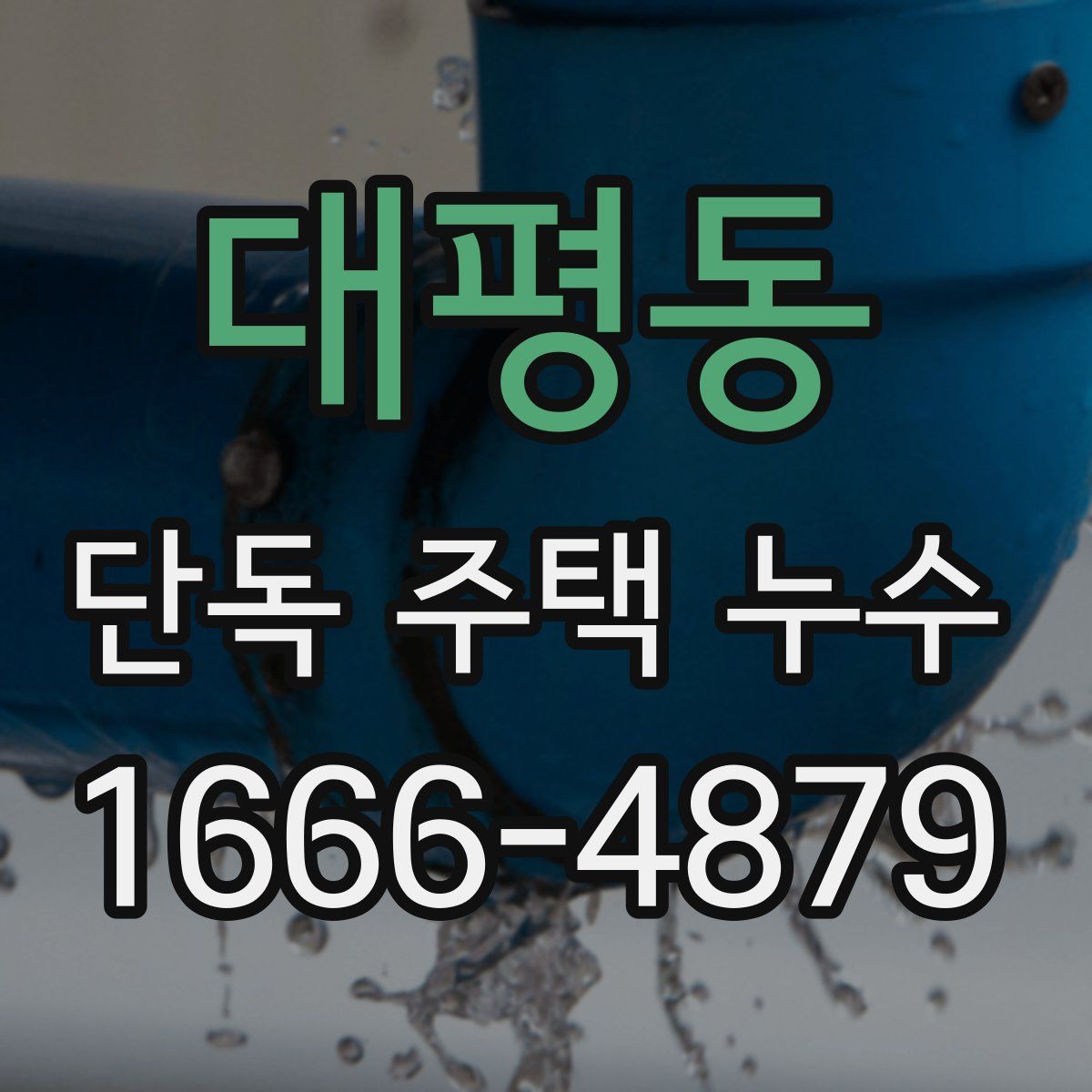 대평동 단독 주택 누수