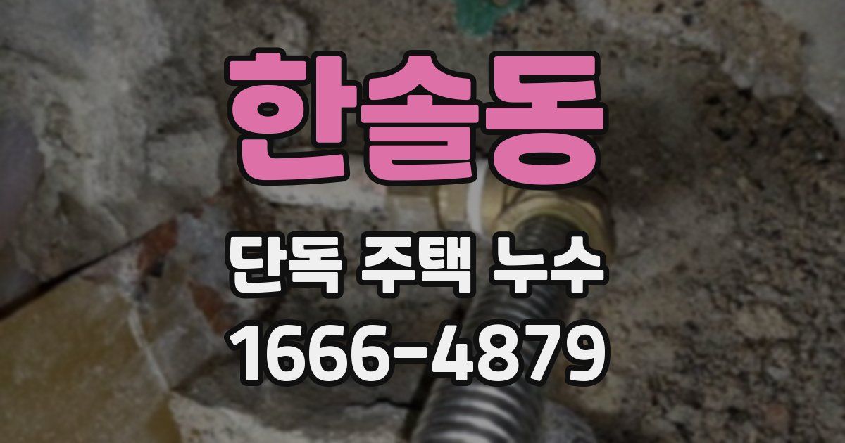 한솔동 단독 주택 누수