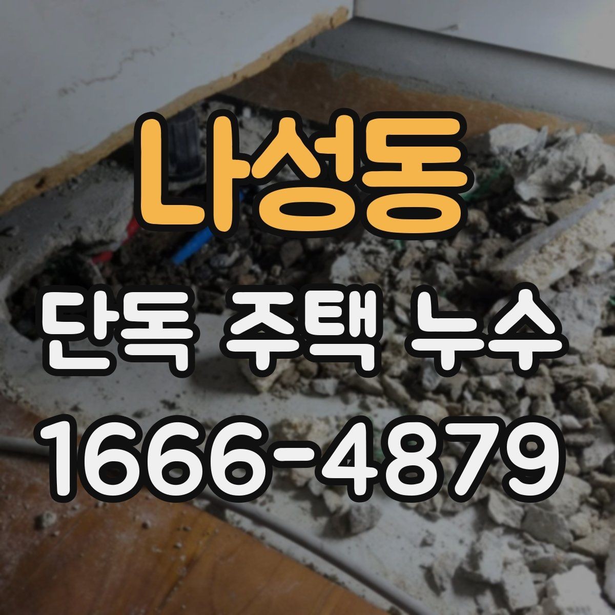 나성동 단독 주택 누수 진단 비용 알아보기