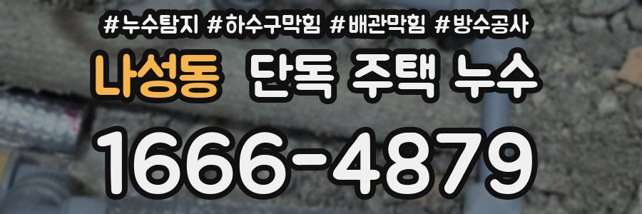 나성동 단독 주택 누수