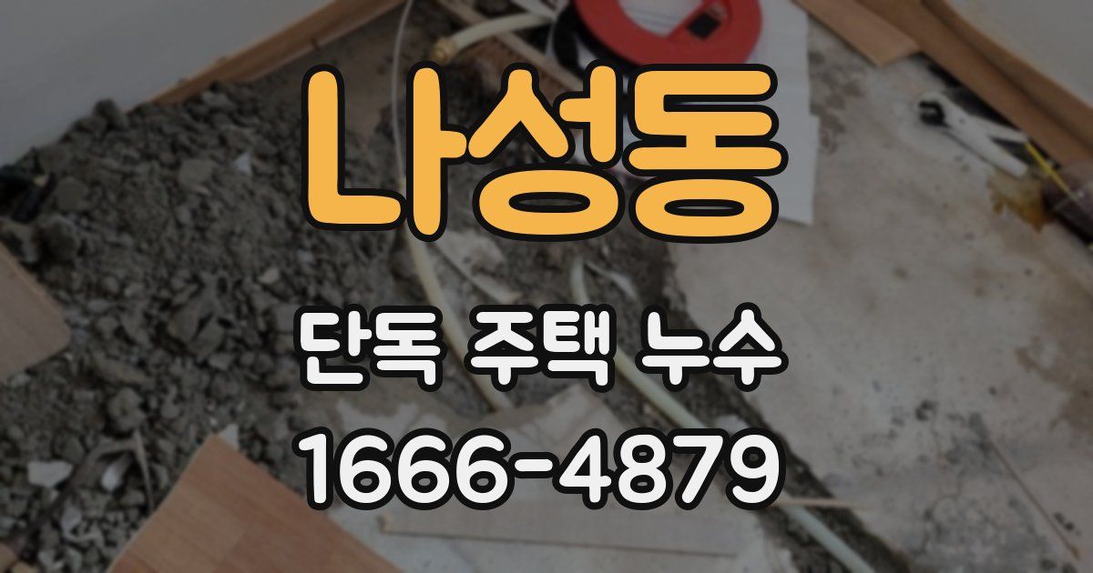 나성동 단독 주택 누수