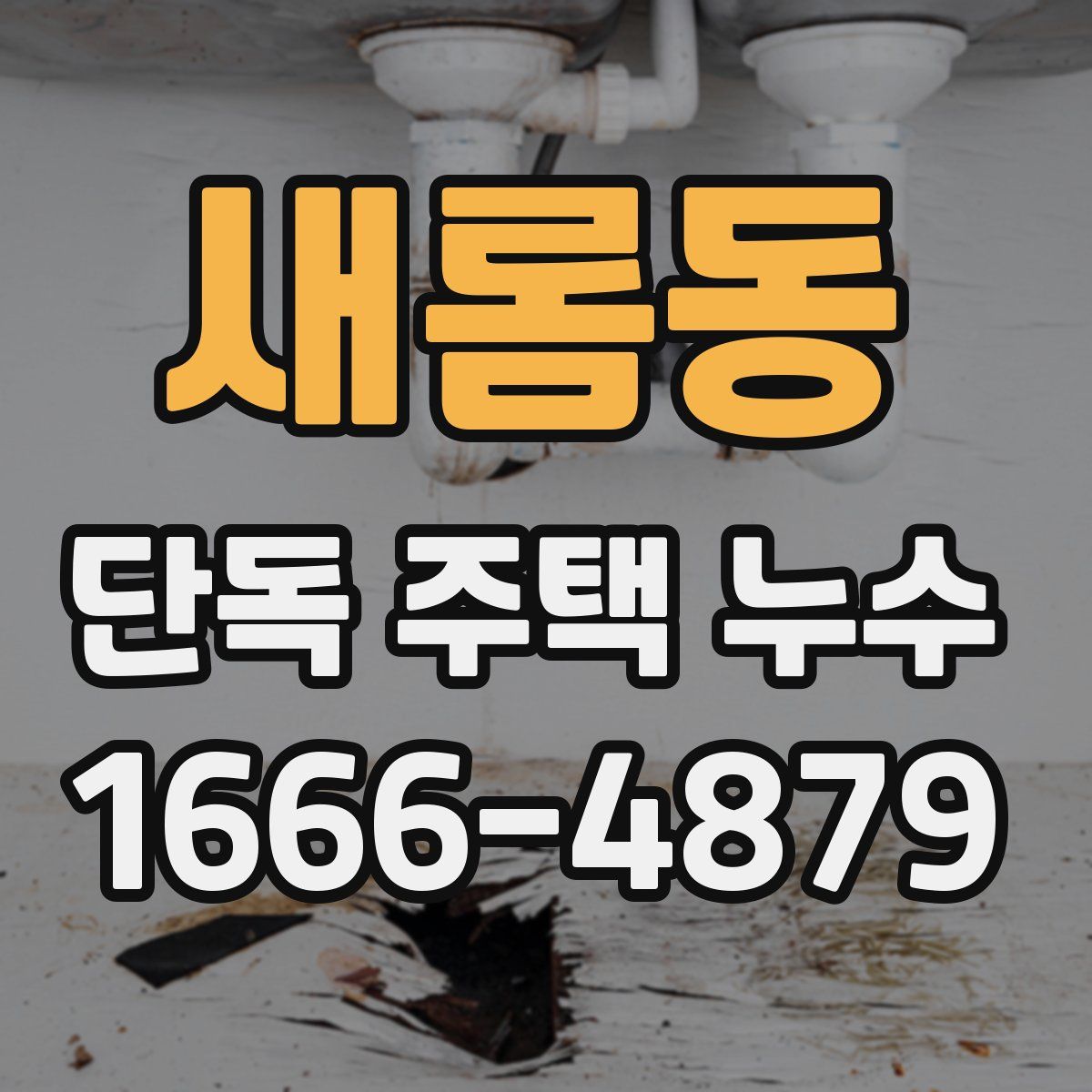 새롬동 단독 주택 누수