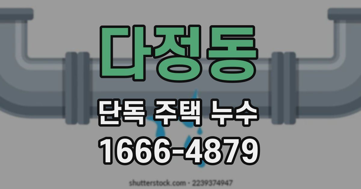 다정동 단독 주택 누수