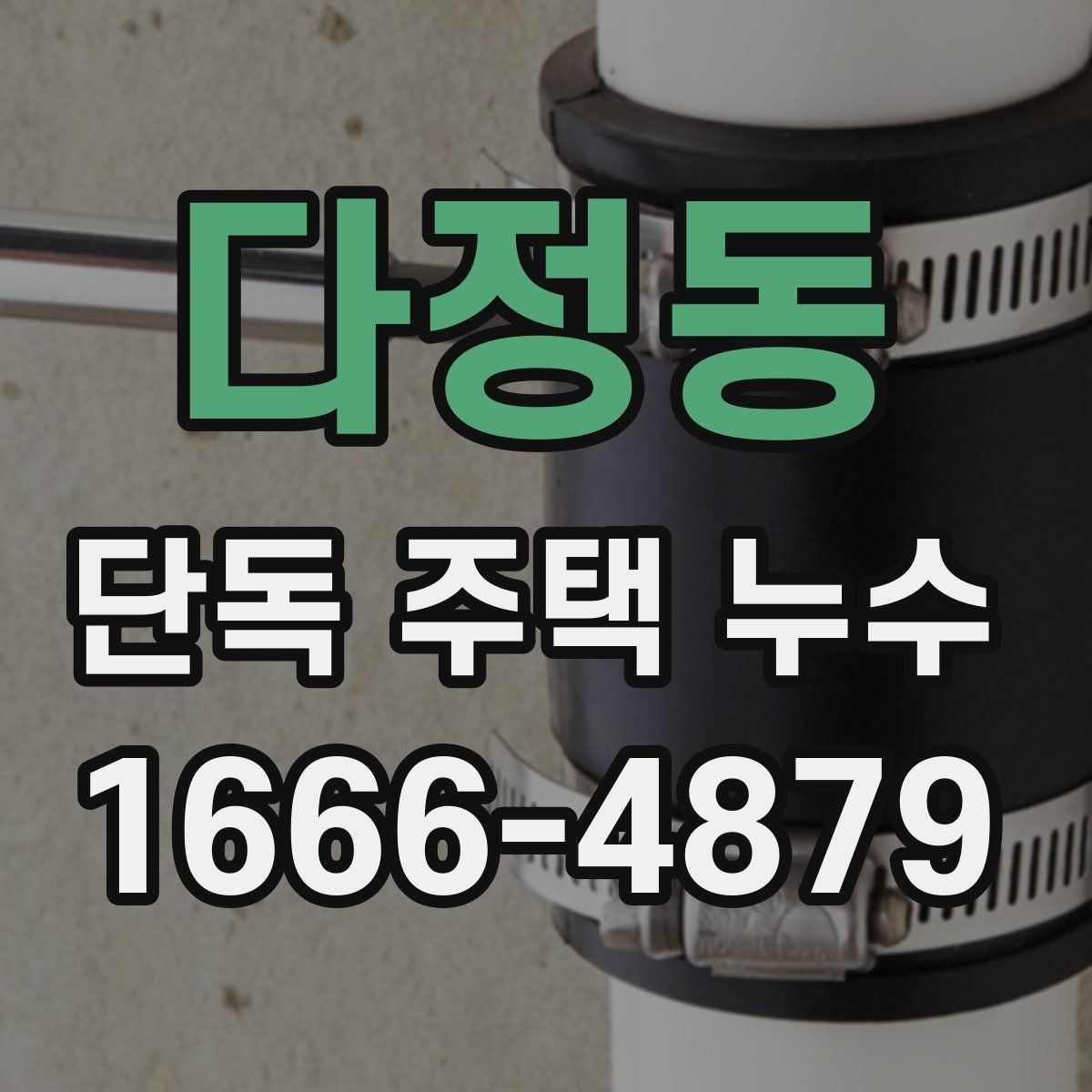 다정동 단독 주택 누수