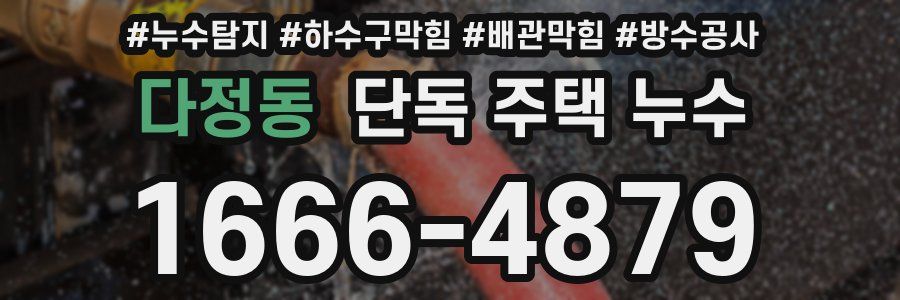 다정동 단독 주택 누수