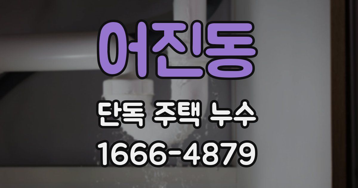 어진동 단독 주택 누수