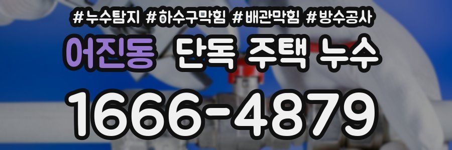 어진동 단독 주택 누수