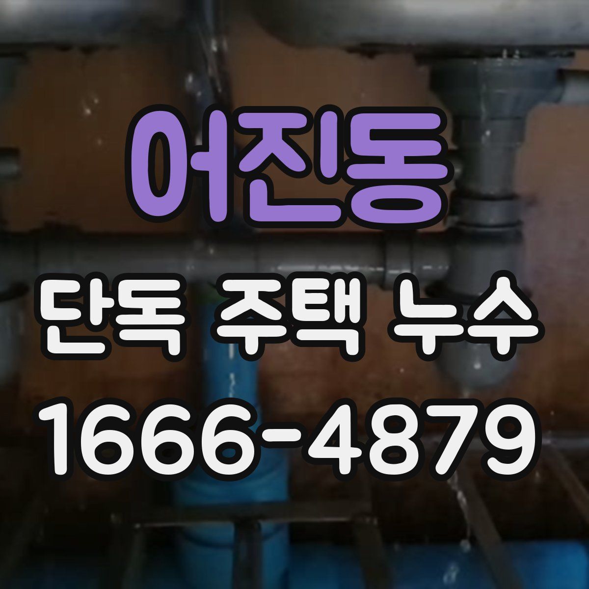 어진동 단독 주택 누수