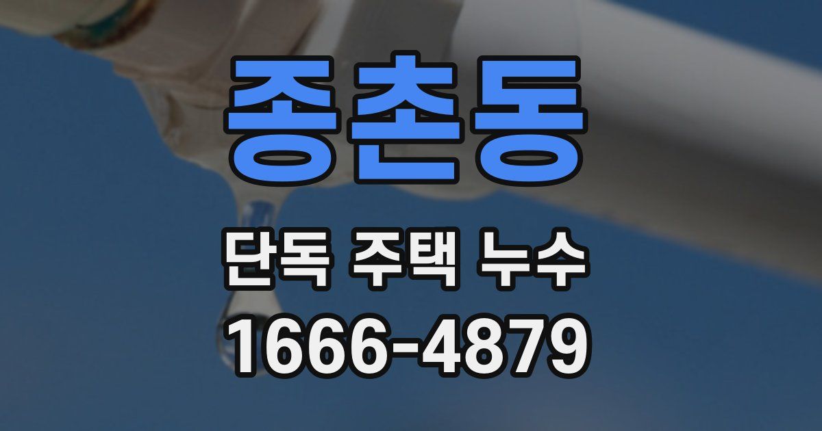 종촌동 단독 주택 누수
