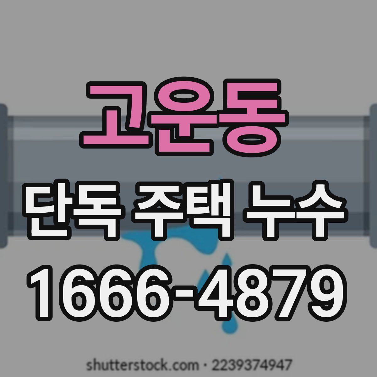 고운동 단독 주택 누수