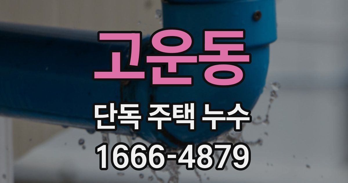고운동 단독 주택 누수