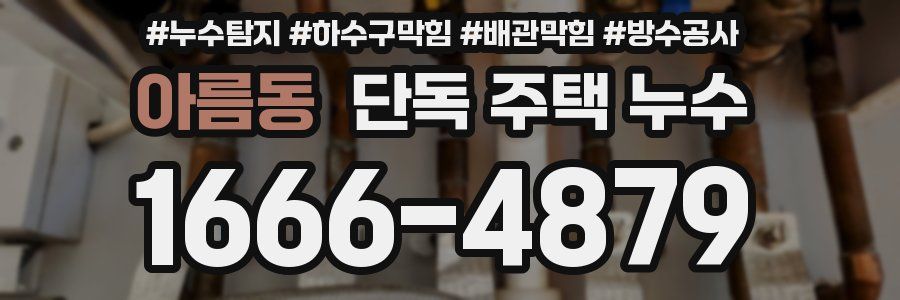 아름동 단독 주택 누수