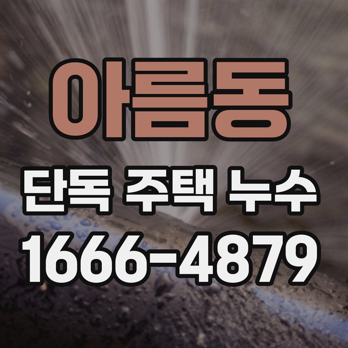 아름동 단독 주택 누수