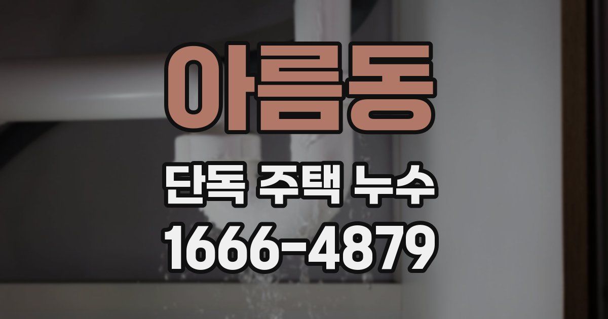 아름동 단독 주택 누수