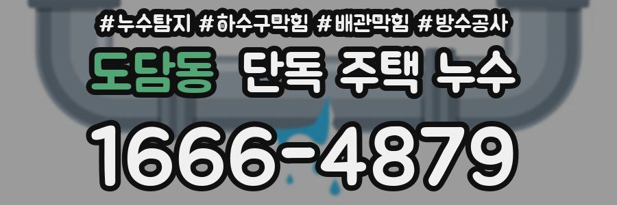 도담동 단독 주택 누수