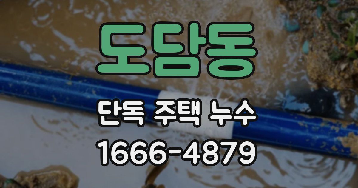 도담동 단독 주택 누수
