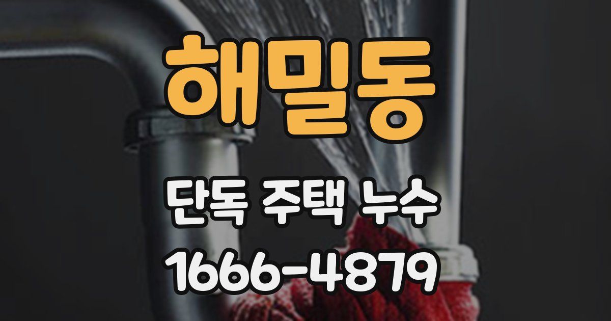 해밀동 단독 주택 누수