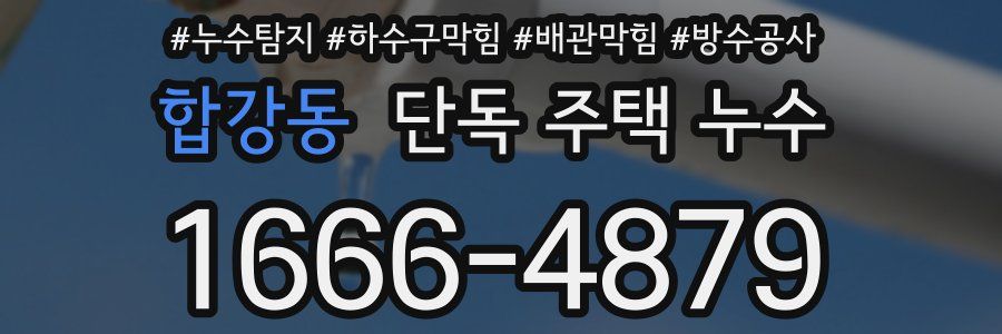 합강동 단독 주택 누수