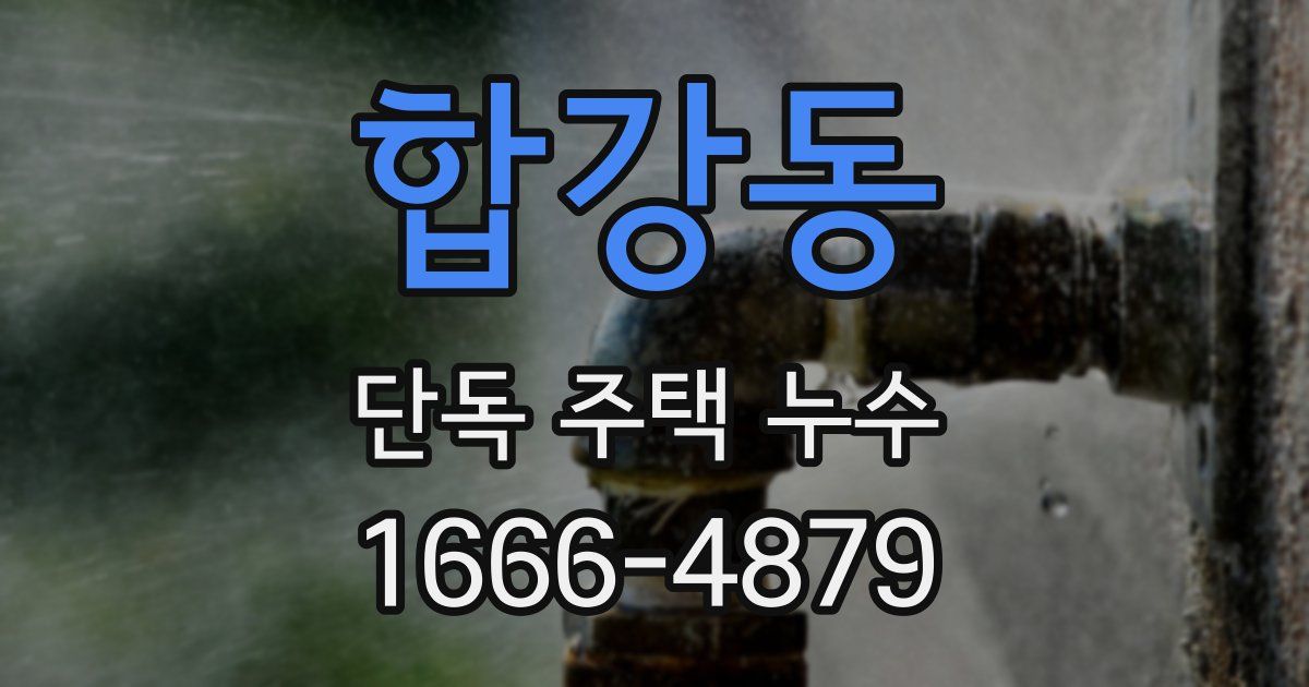 합강동 단독 주택 누수