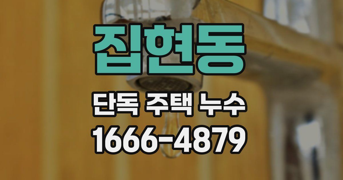 집현동 단독 주택 누수
