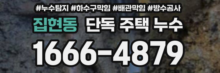 집현동 단독 주택 누수