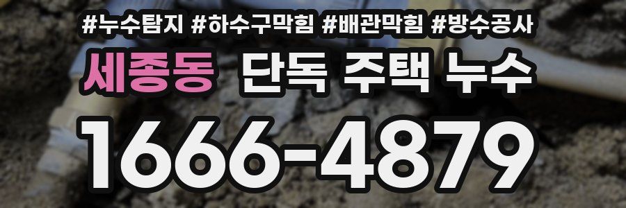 세종동 단독 주택 누수