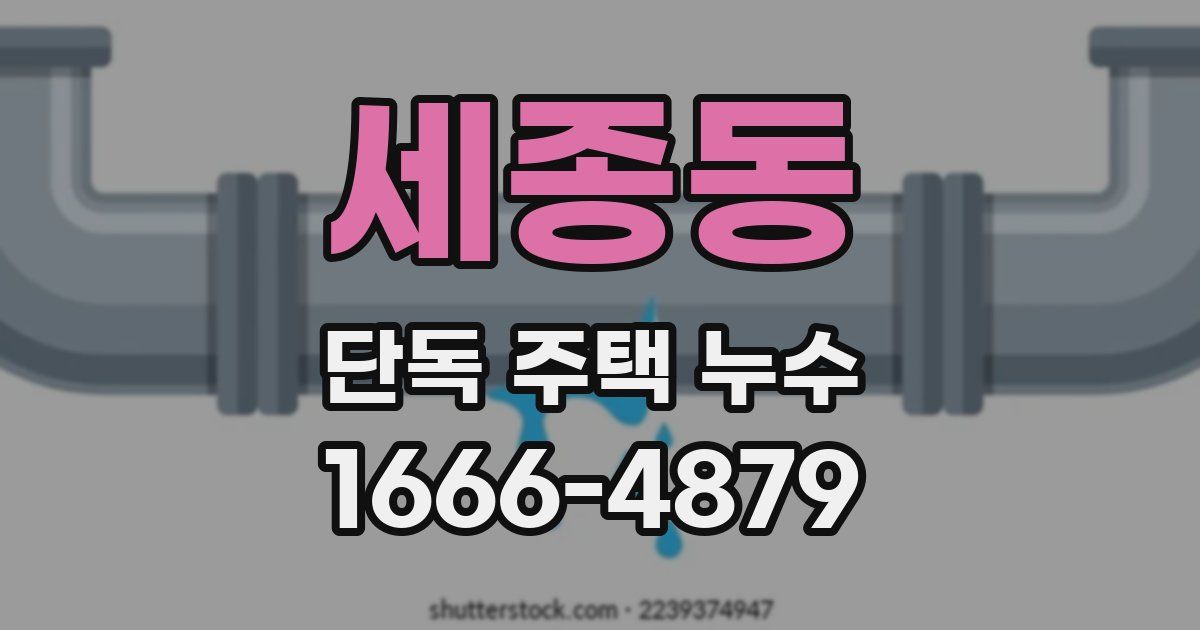 세종동 단독 주택 누수